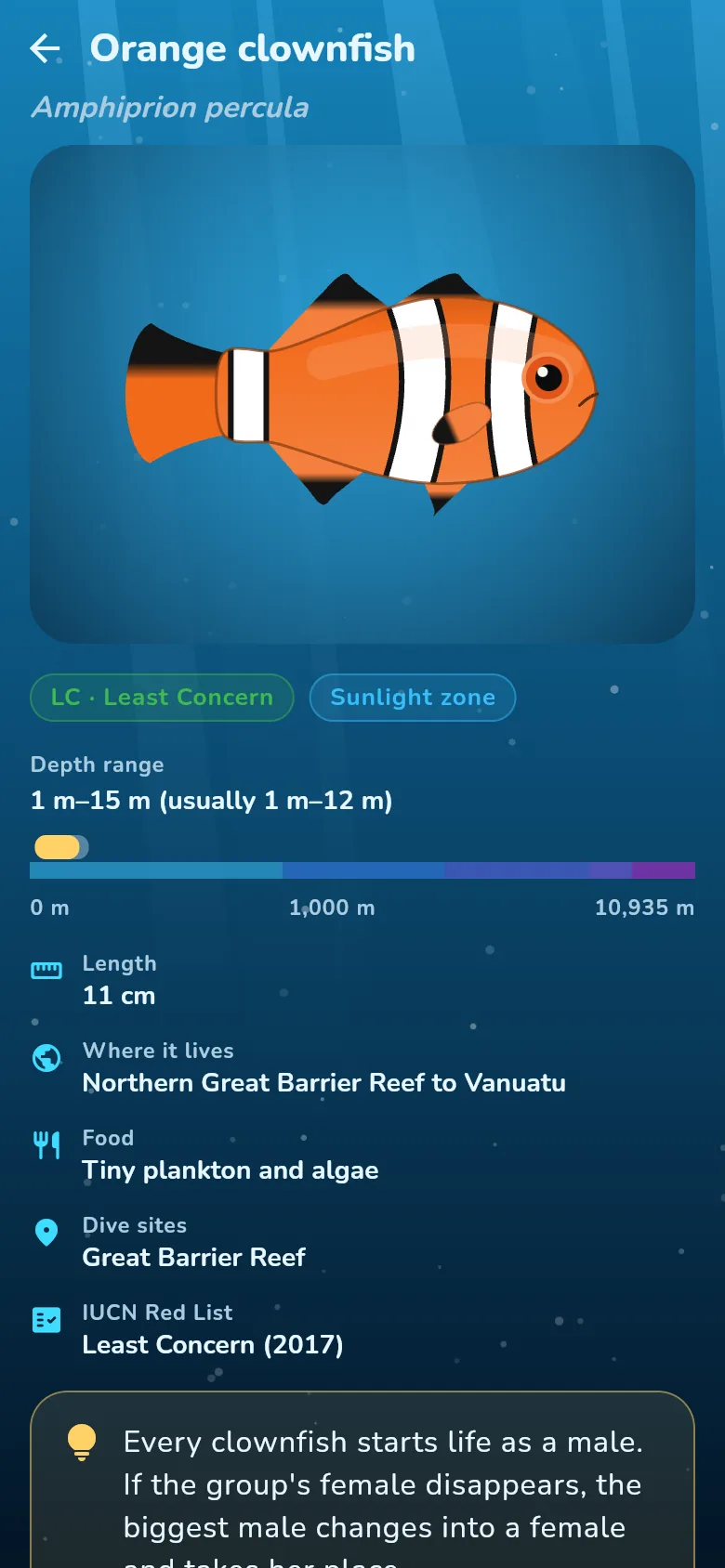A species card for the orange clownfish with its depth range, size, food, dive sites and IUCN Red List status.